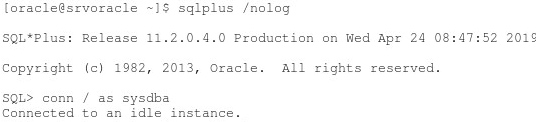 Solucionar error ORA-03113 end-of-file on communication channel en Oracle 11g
