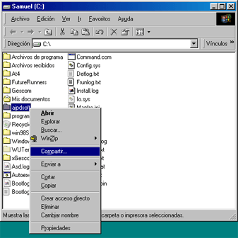Cómo conectar dos equipos en red por el puerto paralelo LPT1 con Windows 98 y Windows XP - Configuración del equipo host con Windows 98 SE