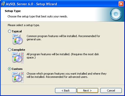 Instalación de MySQL Server 6 en Windows XP - Ventana de selección de tipo de instalación
