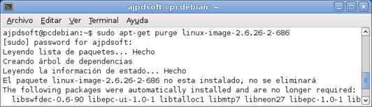 Desinstalar versiones antiguas del kernel núcleo de GNU Linux Debian