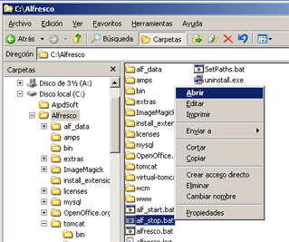 Instalar Alfresco Open Source CMS en Windows y GNU Linux - Establecer la interfaz de Alfresco al Español (añadir paquete de idioma)