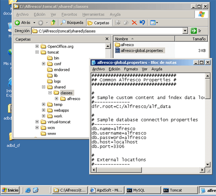 Instalar Alfresco Open Source CMS en Windows y GNU Linux - Acceso a la base de datos MySQL creada por Alfresco