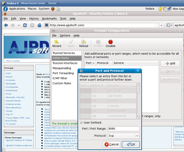 Instalar GNU Linux Fedora 9 con Ingres Database, JBoss y Alfresco CMS - Preparar GNU Linux Fedora para acceso externo a Alfresco