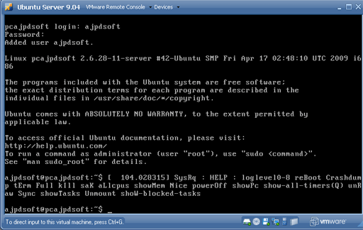 Instalar GNU Linux Ubuntu Server 9.04 virtualizado en VMware 2.0 - Instalación de GNU Linux Ubuntu Server 9.04 virtualizado en VMware 2.0