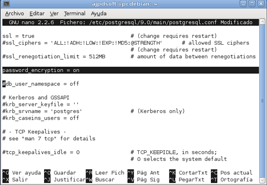 AjpdSoft Configurar PostgreSQL en Linux Debian para permitir conexiones externas