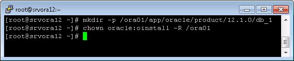 Crear estructura de directorios para Oracle 12c y asignar permisos a usuario oracle