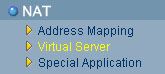 NAT, Virtual Server