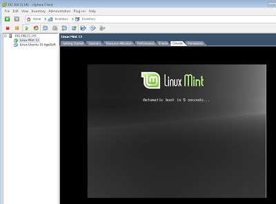 Crear máquina virtual Linux Mint en VMware ESXi desde VMware vSphere Client