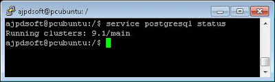 Información de administración sobre PostgreSQL instalado en Linux Ubuntu Server