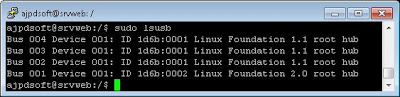 Montar un lápiz de memoria USB en Linux Ubuntu Server 11.04