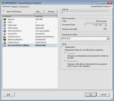 Configuración máquina virtual FreeNAS en VMware ESXi