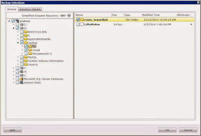 Programar tarea de copia de seguridad para backup de servidor en Symantec Backup Exec 2012