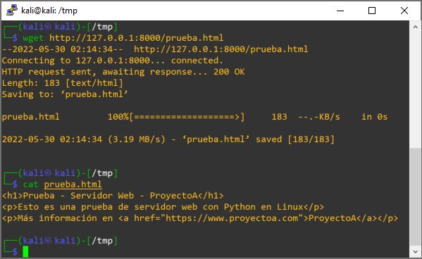 Probando servidor web Python en Linux tanto en el equipo local como desde equipos de la LAN