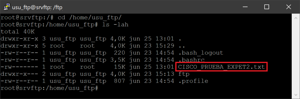 Script de conexión SSH al switch Cisco y ejecución remota del envío de la configuración al servidor FTP