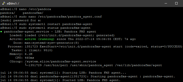Monitorizar Pi-hole en Linux Debian con Pandora FMS