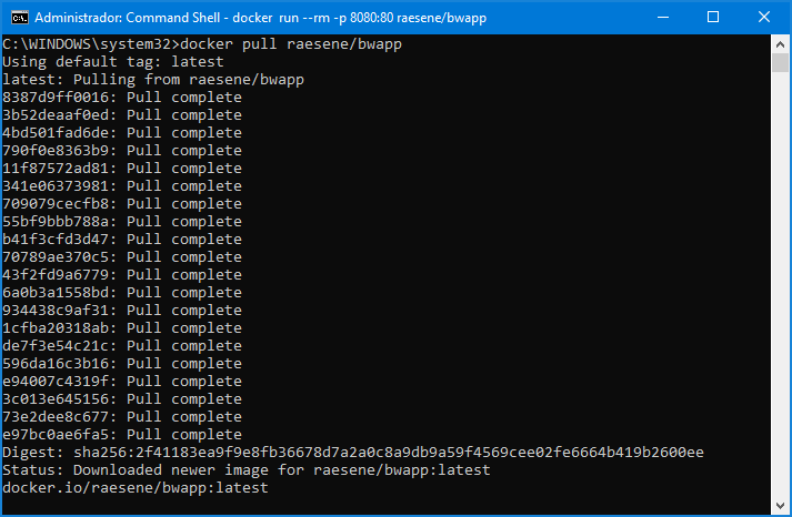 Descargar e instalar contenedor bWAPP en Docker