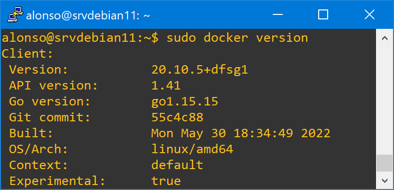 Instalar Docker en Linux Debian 11 mediante repositorio