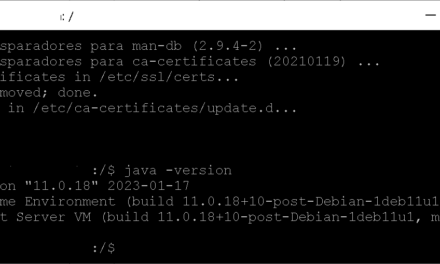 Instalar Java JRE JDK en Linux Debian 11