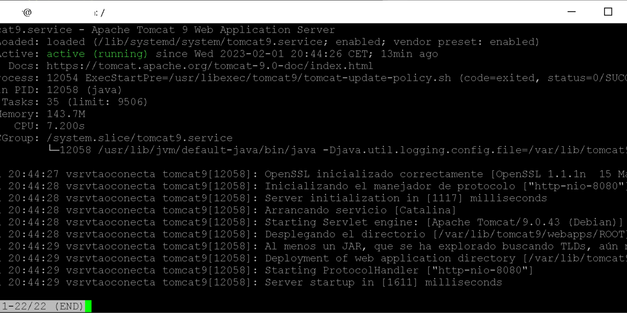 Instalar Apache Tomcat 9 en Linux Debian 11