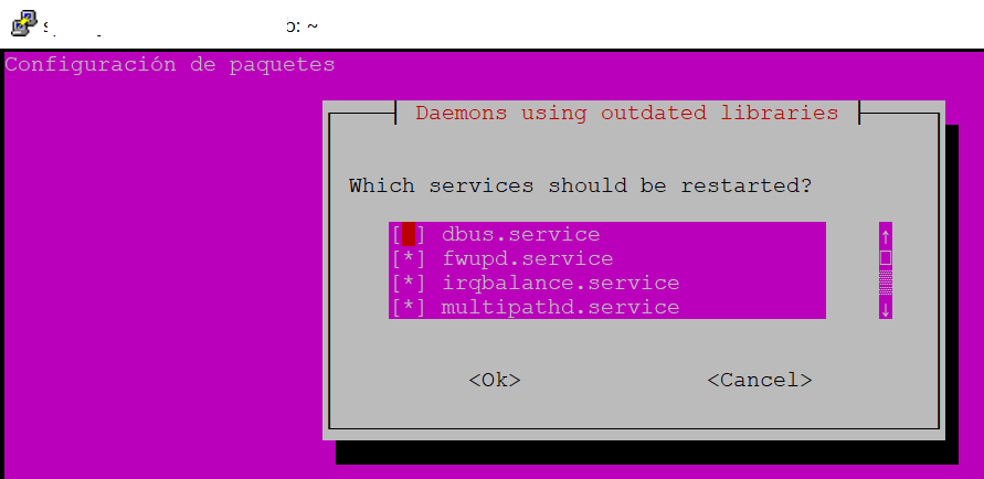 Actualizar paquetes de Linux Ubuntu Server 22