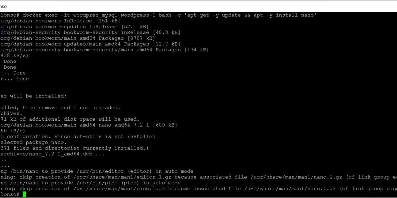 Instalar nano en un contenedor Docker con Linux y ejecutar comandos shell