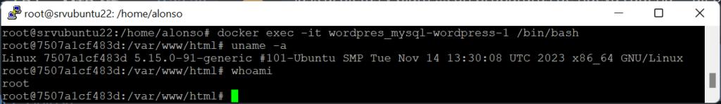 Ejecutar comandos en contenedor con Linux Ubuntu en Docker