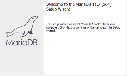 Servidor de base de datos MariaDB en Windows 11 y acceso remoto